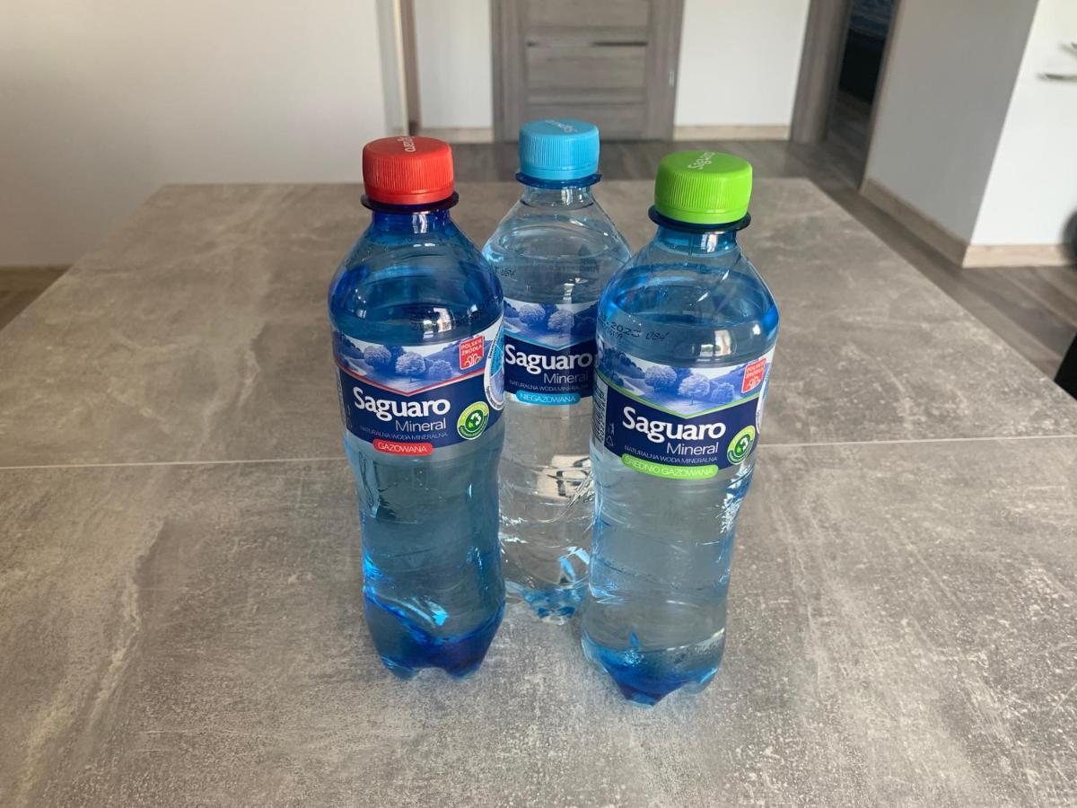 גורז'וב ווילקופולסקי Klimatyzowany Apartament Z Miejscem Garazowym מראה חיצוני תמונה